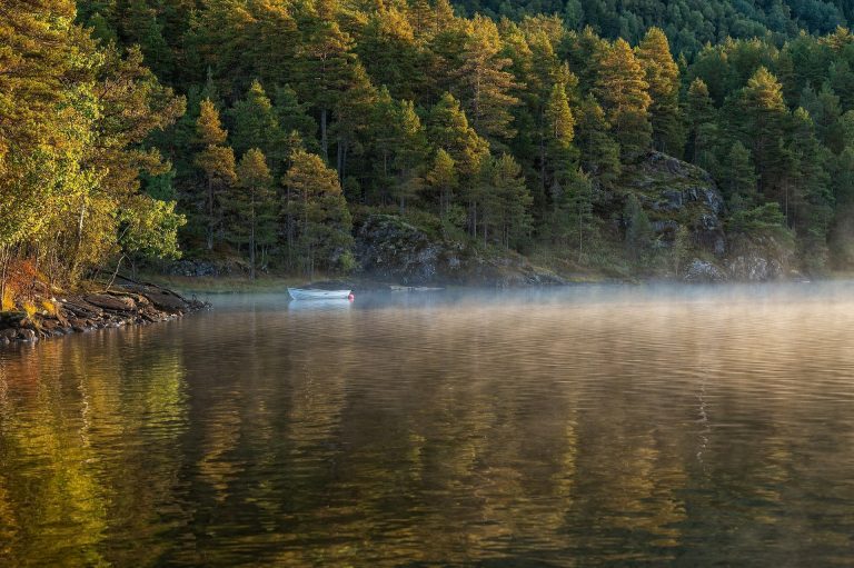 26. Oktober 2024 – Wanderung um den Bärn-See