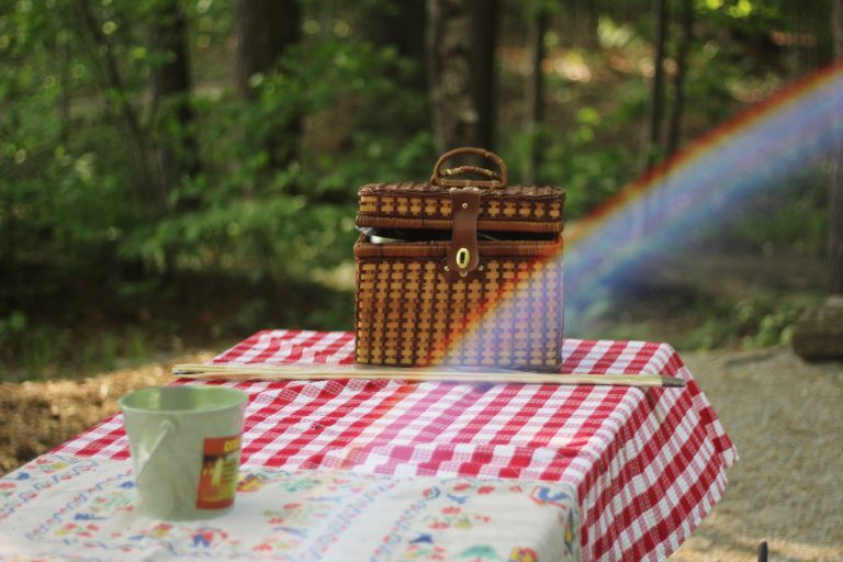 23. Juni – Picknick am Soyener See
